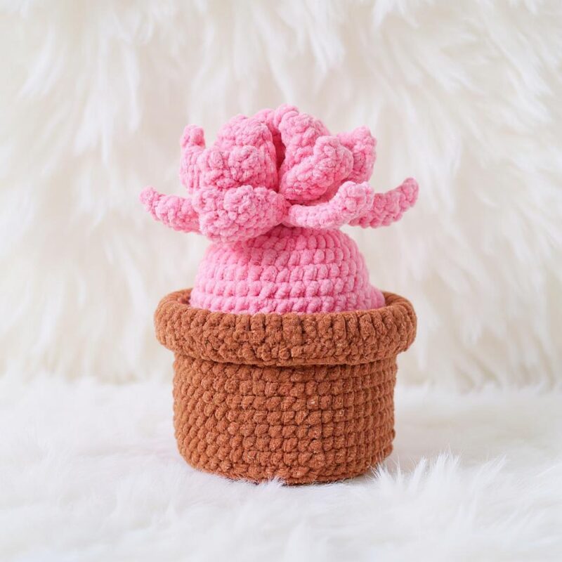 Pink Echeveria Amigurumi Crochet Pattern - Cute DIY Potted Succulent - Instant Download PDF - Image 3