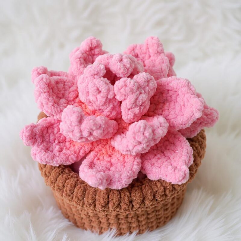 Pink Echeveria Amigurumi Crochet Pattern - Cute DIY Potted Succulent - Instant Download PDF - Image 4