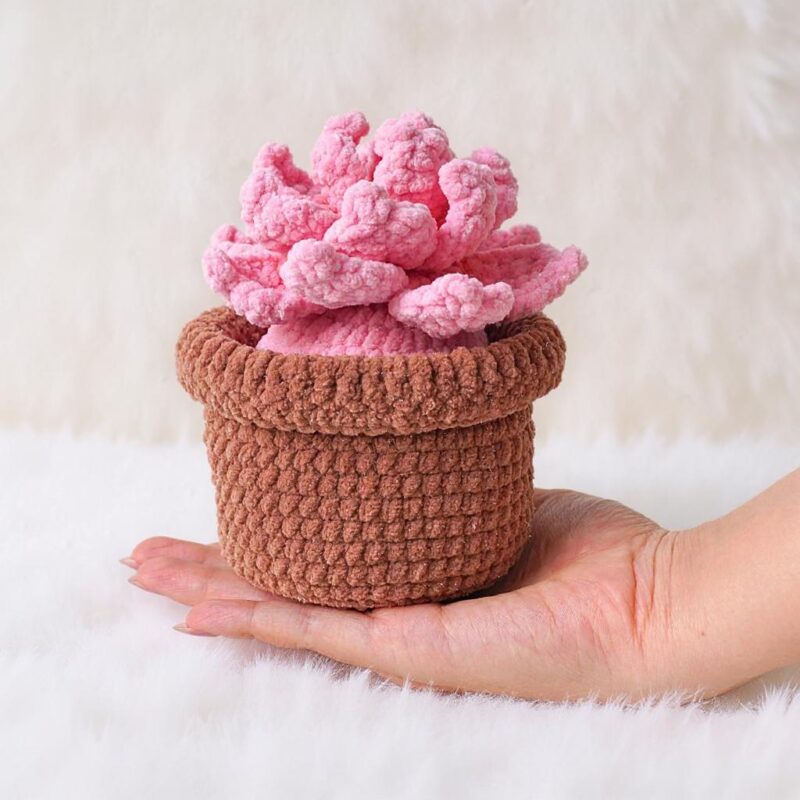 Pink Echeveria Amigurumi Crochet Pattern - Cute DIY Potted Succulent - Instant Download PDF - Image 5