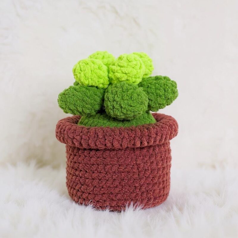 Baby Succulent Amigurumi Crochet Pattern - Adorable DIY Potted Plant - Instant Download PDF - Image 4