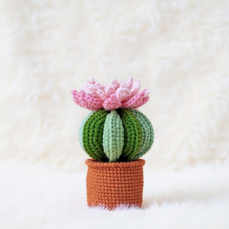 Blossom Cactus Amigurumi Crochet Pattern - Cute DIY Potted Plant Decor - Instant Download PDF