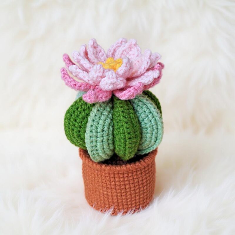 Blossom Cactus Amigurumi Crochet Pattern - Cute DIY Potted Plant Decor - Instant Download PDF - Image 2