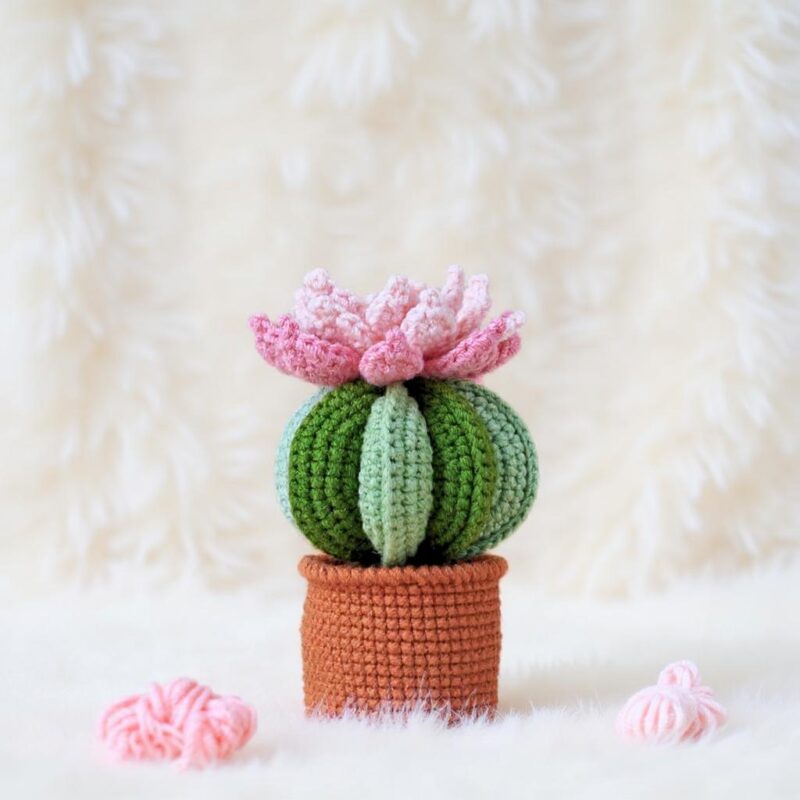 Cactus Bloom Pots Amigurumi Crochet Patterns - Charming DIY Potted Plants - Instant Download PDF - Image 5