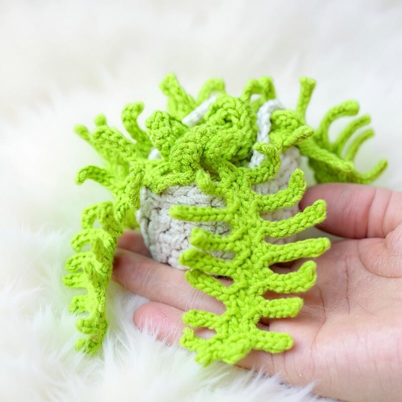 Fern Plant Basket Amigurumi Crochet Pattern - Charming DIY Plant Decor - Instant Download PDF - Image 4