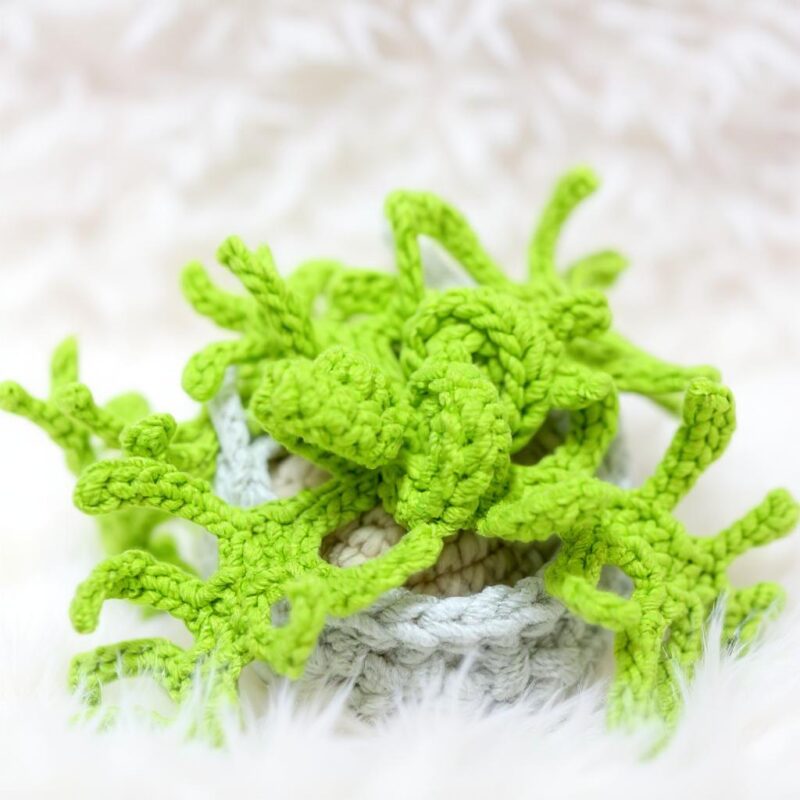 Fern Plant Basket Amigurumi Crochet Pattern - Charming DIY Plant Decor - Instant Download PDF - Image 5