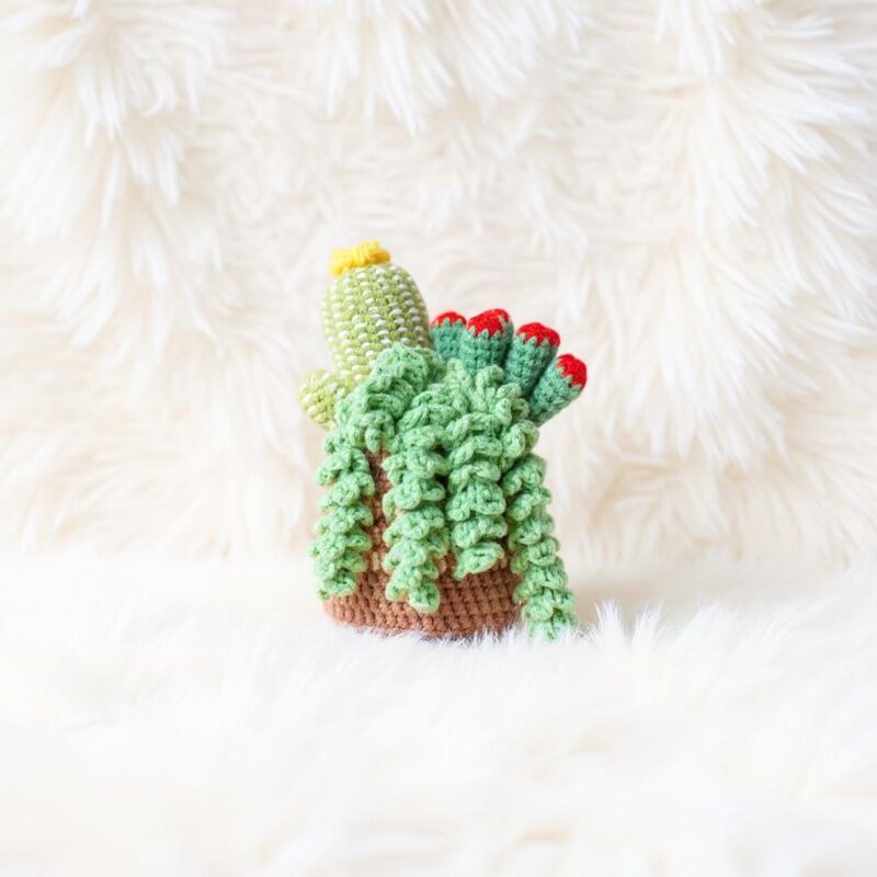 Mixed Cactus Pot Amigurumi Crochet Pattern - Charming DIY Potted Plant Decor - Instant Download PDF - Image 3