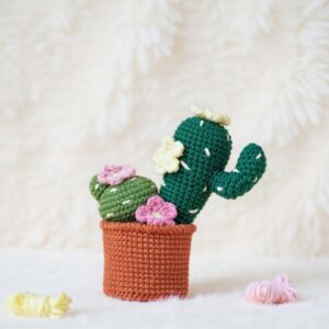 Petal & Prickles Potted Cactus Amigurumi Crochet Pattern - Adorable DIY Potted Plant - Instant Download PDF