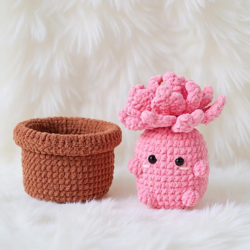 Petite Succulent Pair Amigurumi Crochet Pattern - Adorable DIY Potted Plants - Instant Download PDF - Image 2