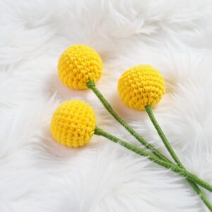 Plum Mango Bird Amigurumi Crochet Pattern - Adorable DIY Stuffed Animal Toy - Instant Download PDF