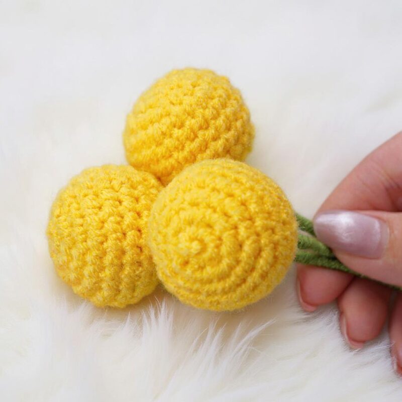 Plum Mango Bird Amigurumi Crochet Pattern - Adorable DIY Stuffed Animal Toy - Instant Download PDF - Image 4