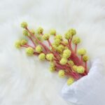 Eastern Peach Flower Amigurumi Crochet Pattern - Beautiful DIY Floral Decor - Instant Download PDF
