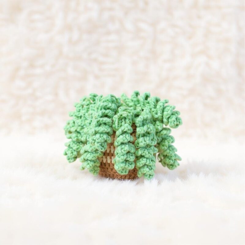 Sedum Burrito Amigurumi Crochet Pattern - Charming DIY Hanging Plant Decor - Instant Download PDF