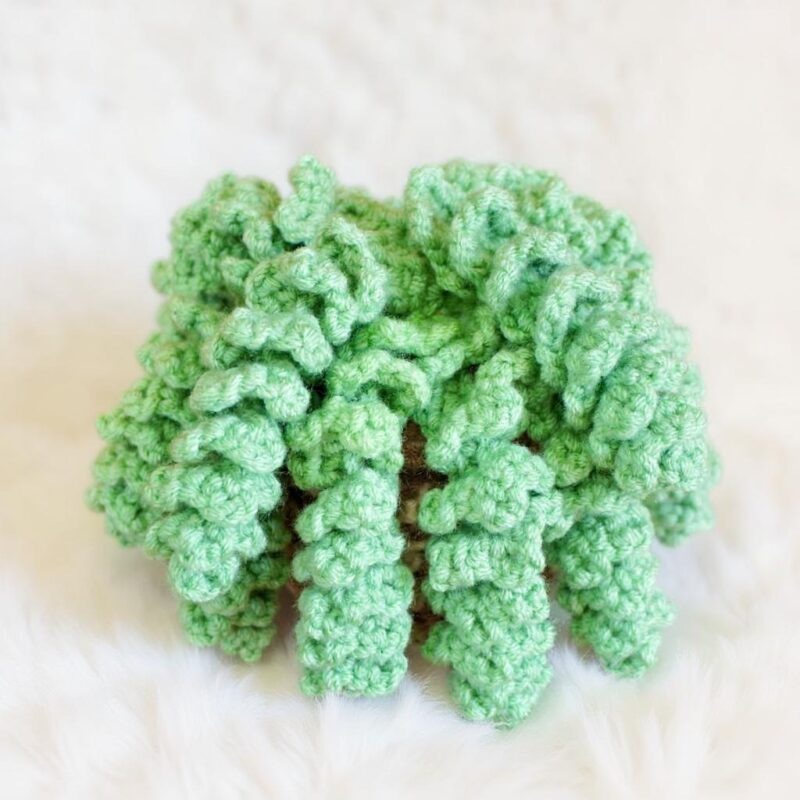 Sedum Burrito Amigurumi Crochet Pattern - Charming DIY Hanging Plant Decor - Instant Download PDF - Image 4