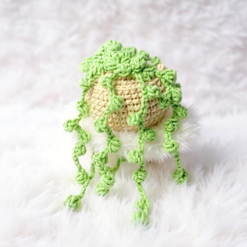 Potted Succulent Basket Amigurumi Crochet Pattern - Adorable DIY Plant Decor - Instant Download PDF - Image 6