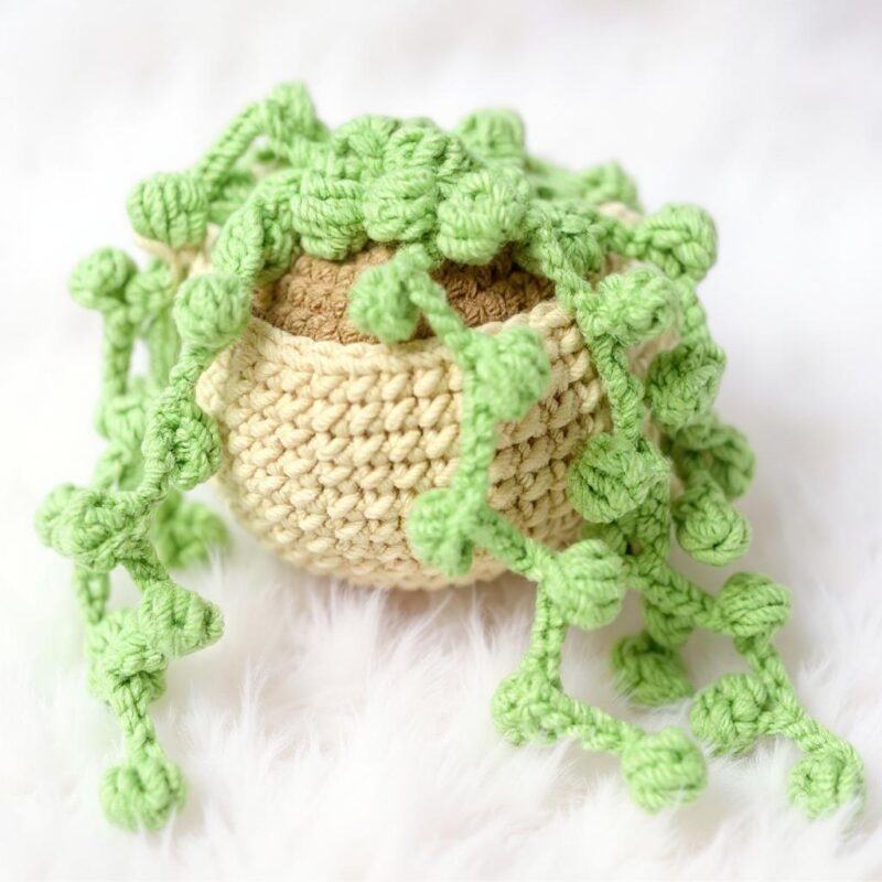 Potted Succulent Basket Amigurumi Crochet Pattern - Adorable DIY Plant Decor - Instant Download PDF - Image 7